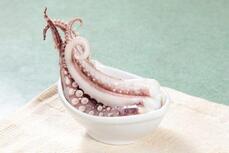 Squid-cuttlefish